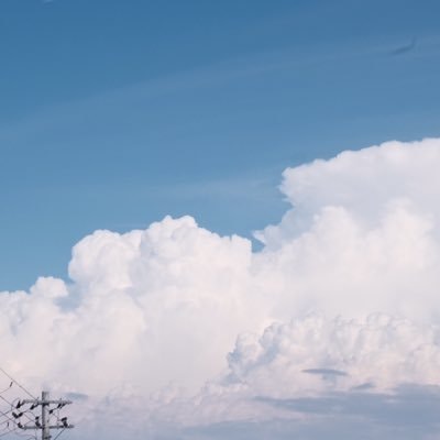 Go to Hotaria N's profile