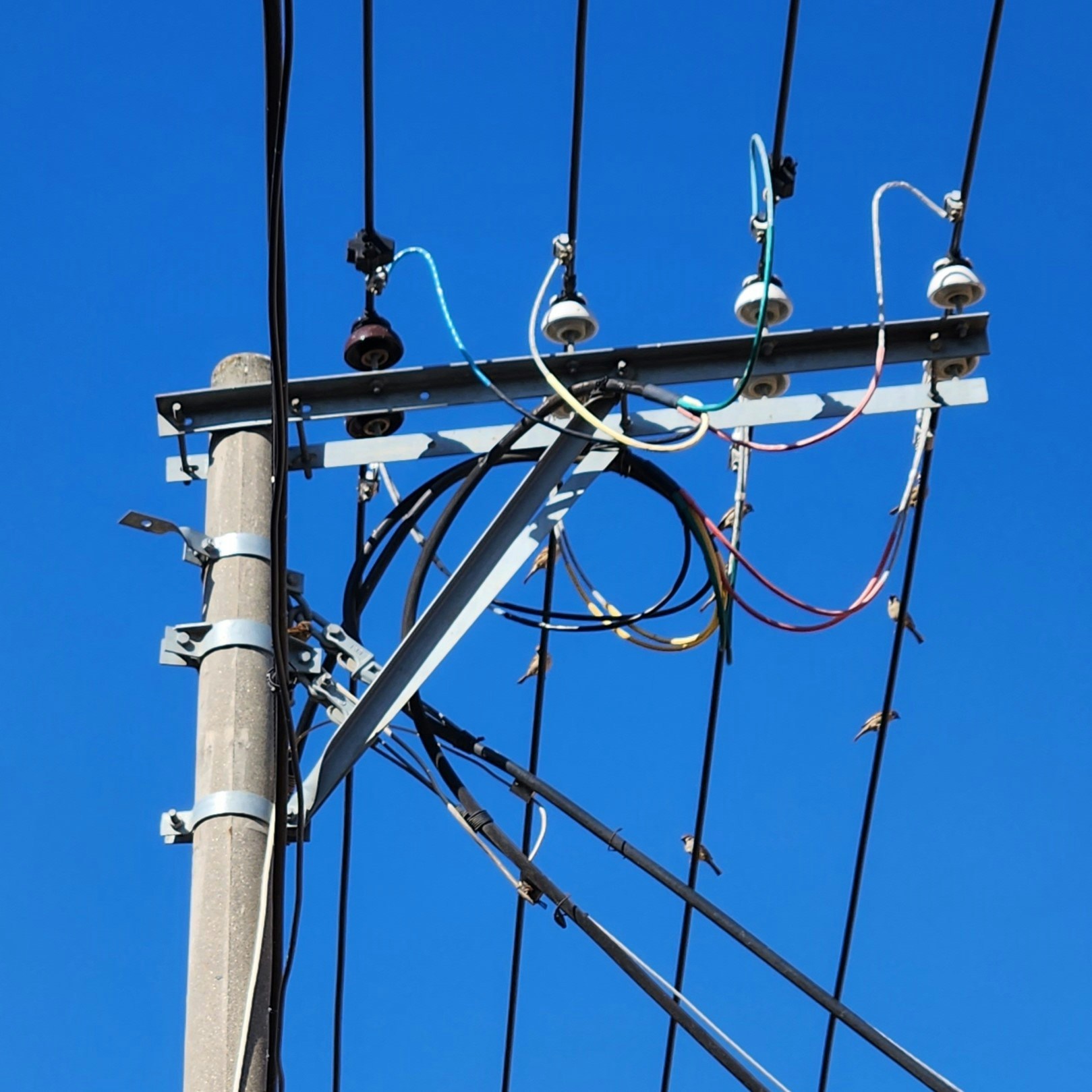 Accéder au profil de GuangQi Zheng