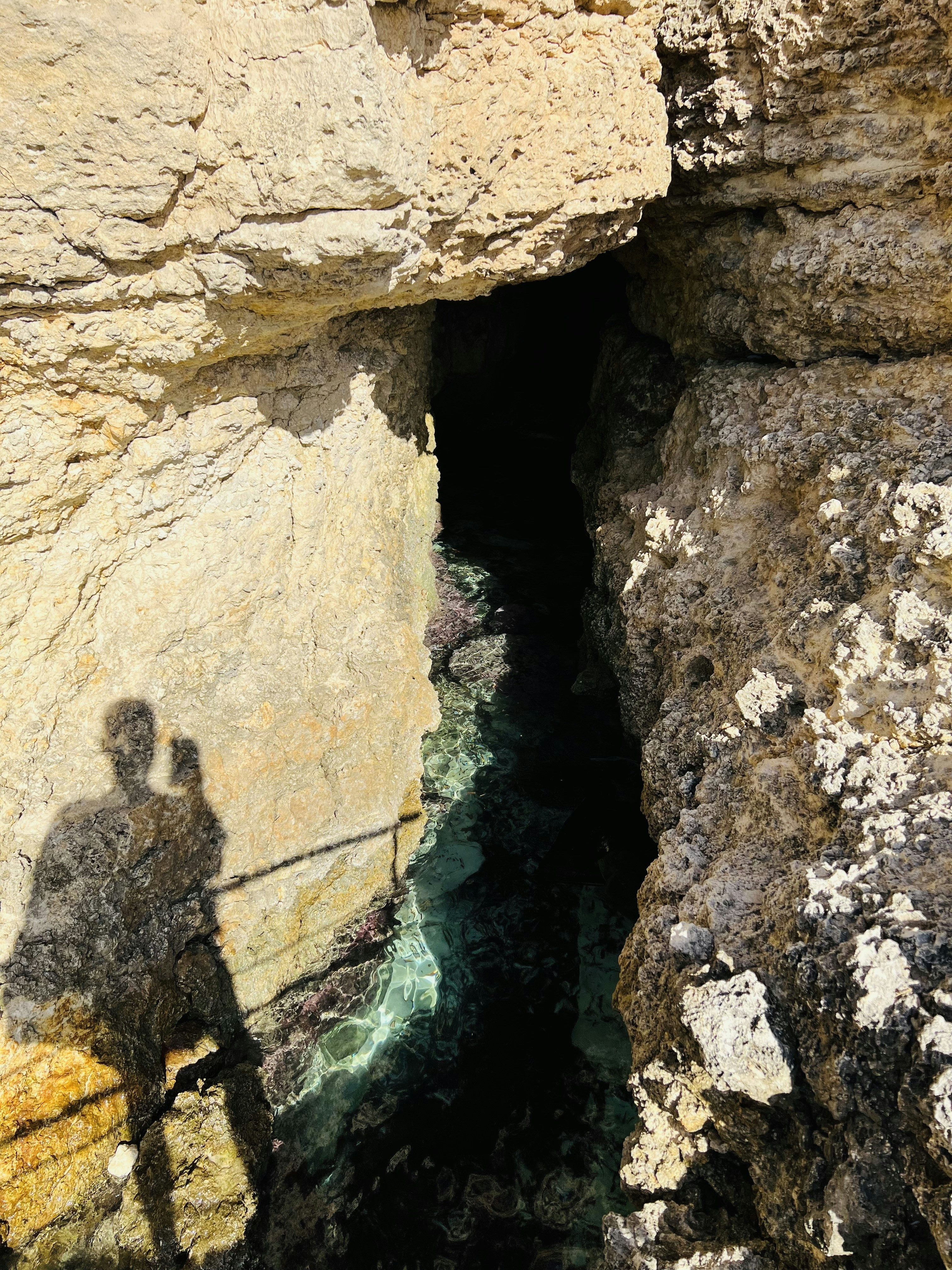 Accéder au profil de Manoranjan