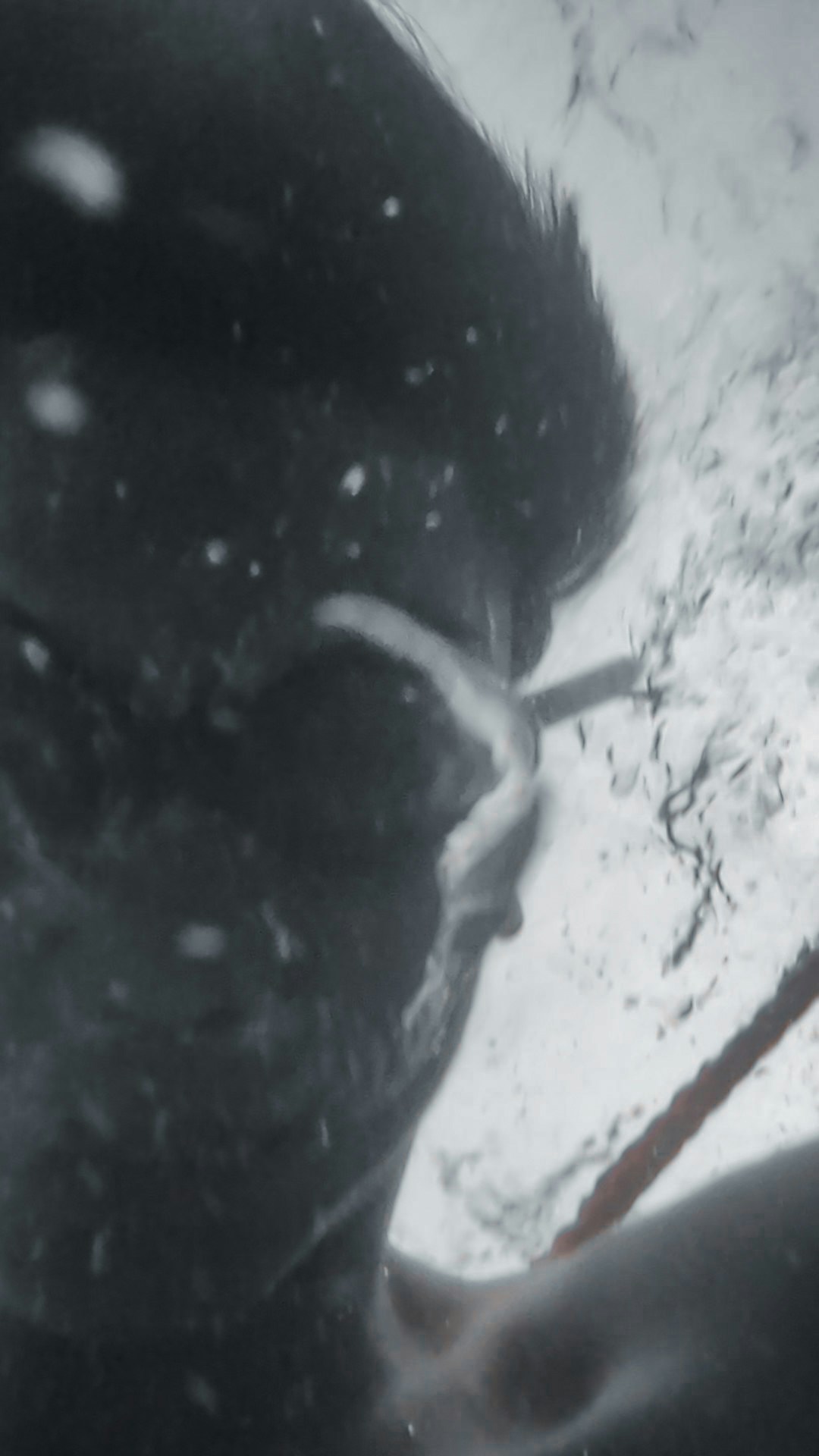 Avatar del usuario Olzhas Mergen