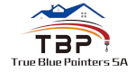 Avatar of user True Blue Painters SA