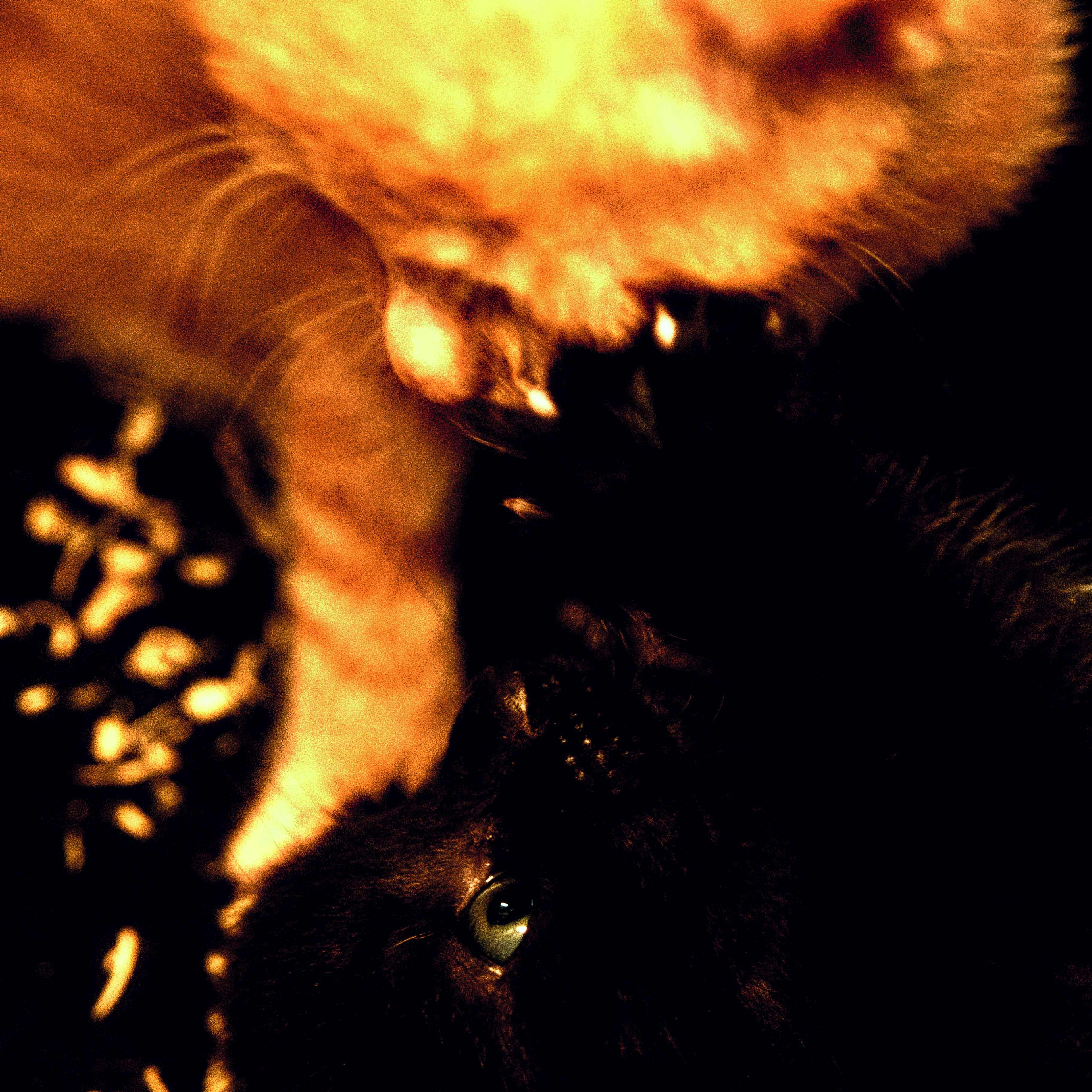 Go to nay W's profile