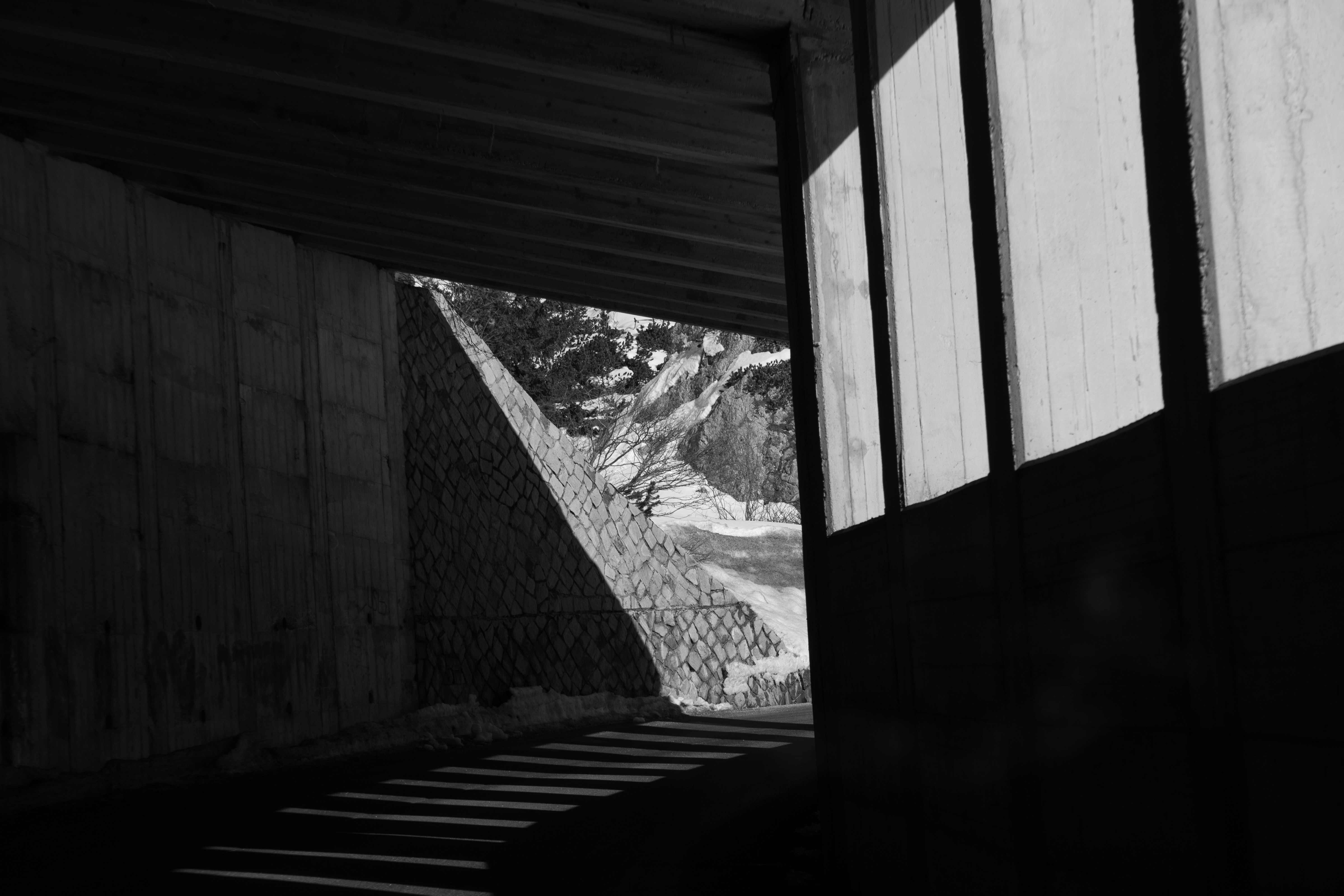 Go to Elliot Earnest's profile