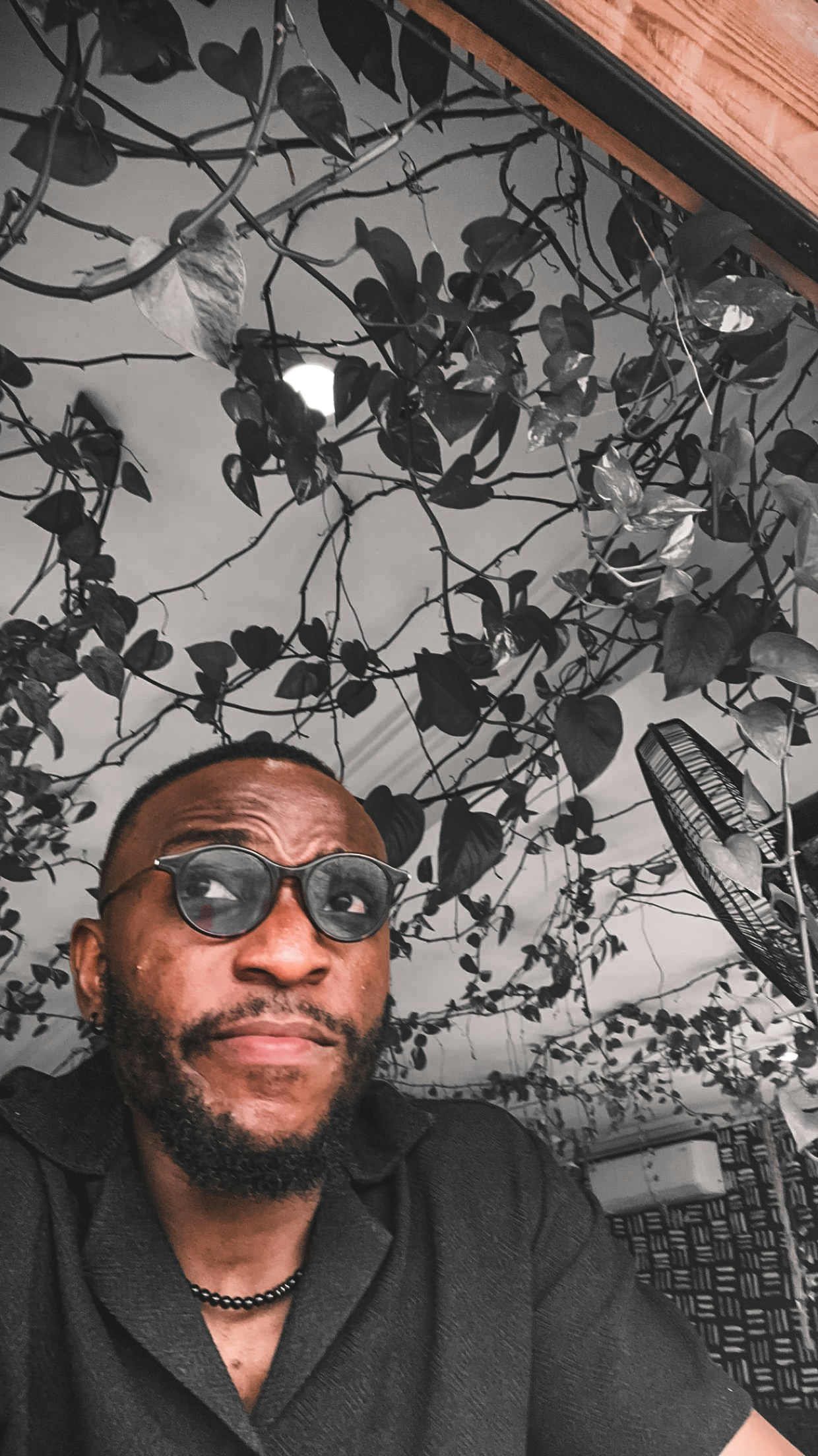 Ve al perfil de Stephen Okonkwo