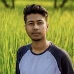 Avatar of user Aranyak Bhattacharjee