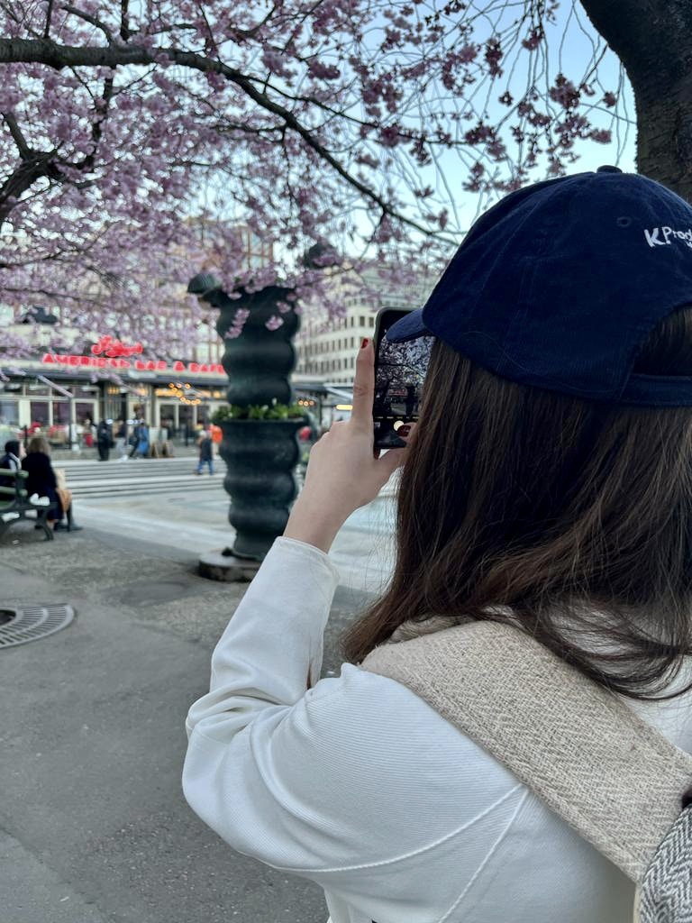 Go to Mine Hacisalihoglu's profile