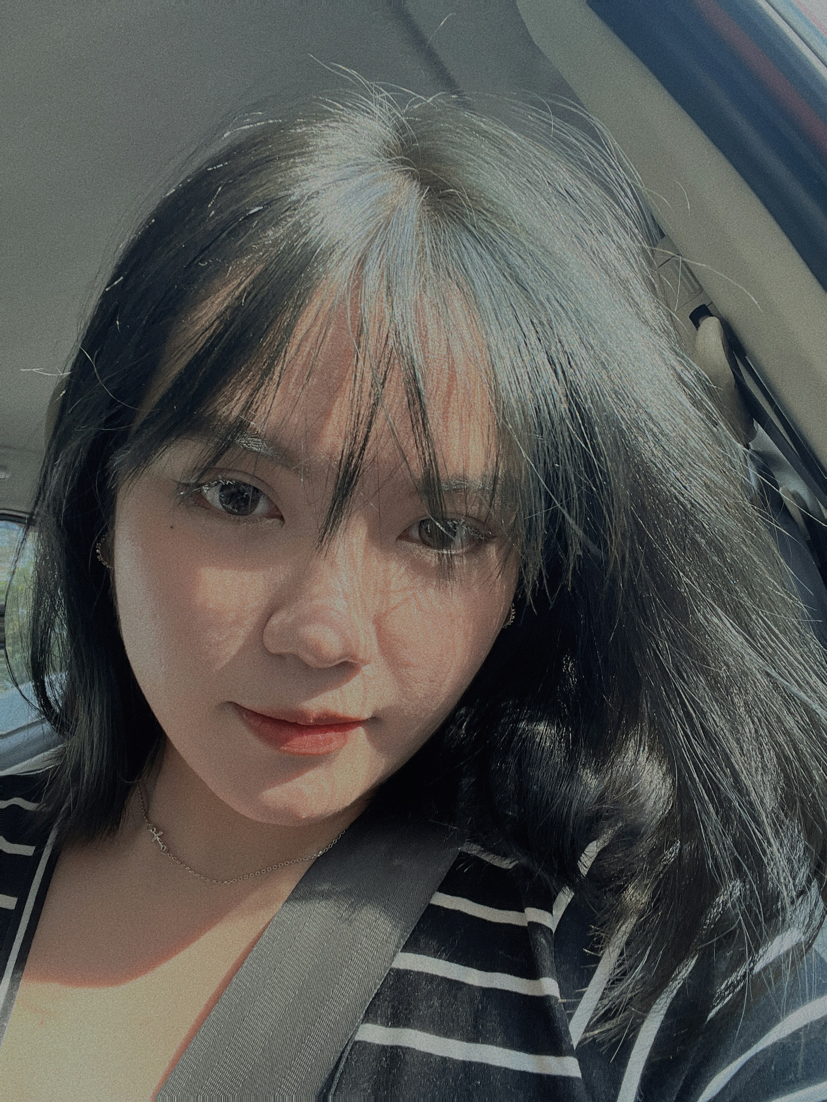 Phan Vivien의 프로필로 이동