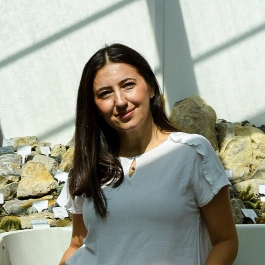 Go to Ivana Cirkovic's profile