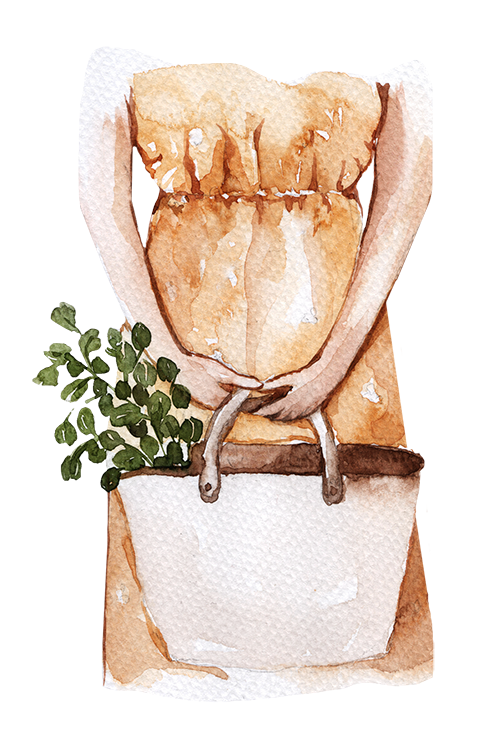 Go to Olivie Strauss's profile