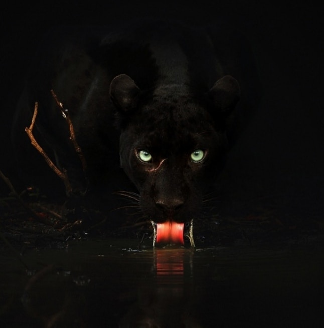 Go to Giorgios Savidis's profile