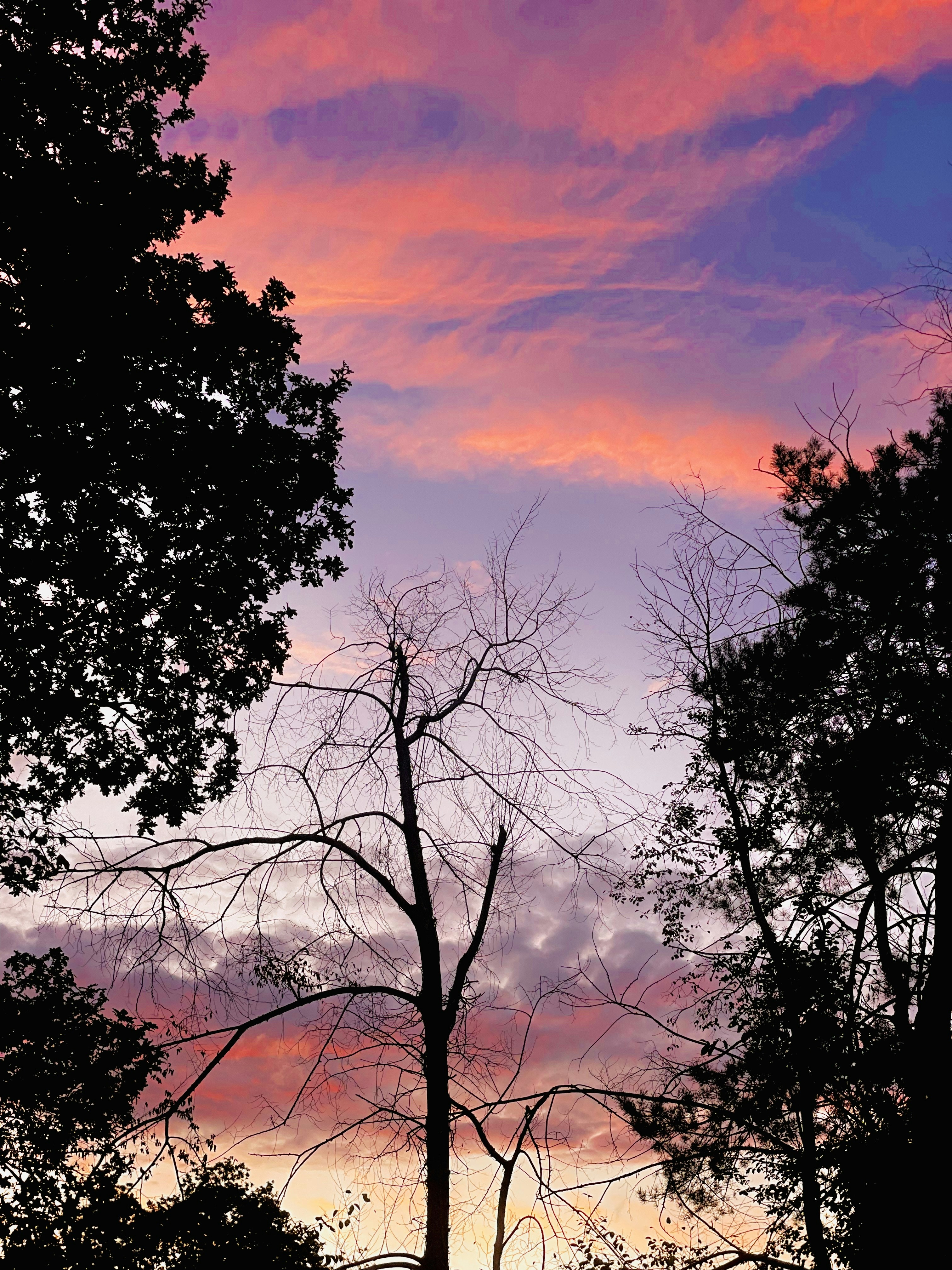 Vai al profilo di Ili .