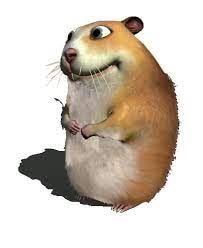 Go to Suhan's profile