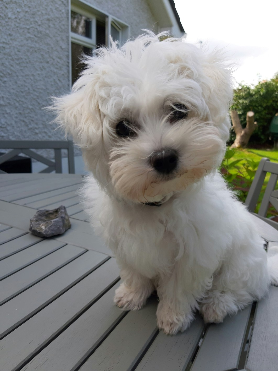 Avatar of user Fiona Dodd