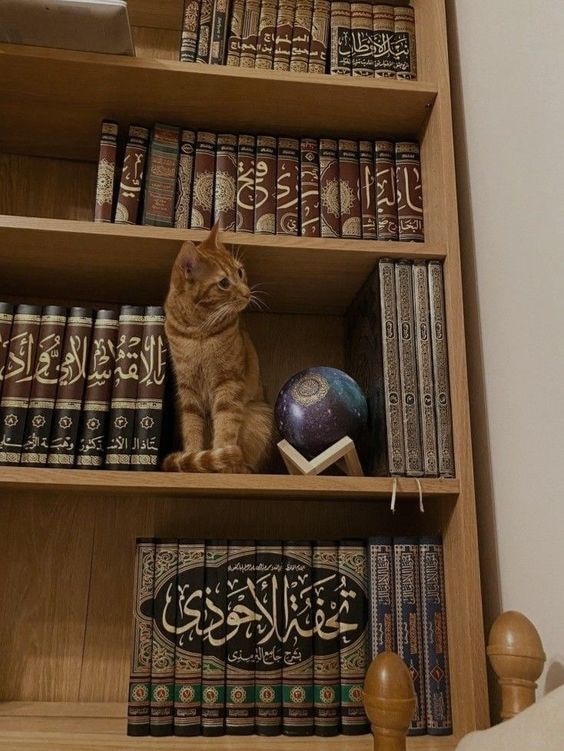 Go to Zayn Khalifa's profile