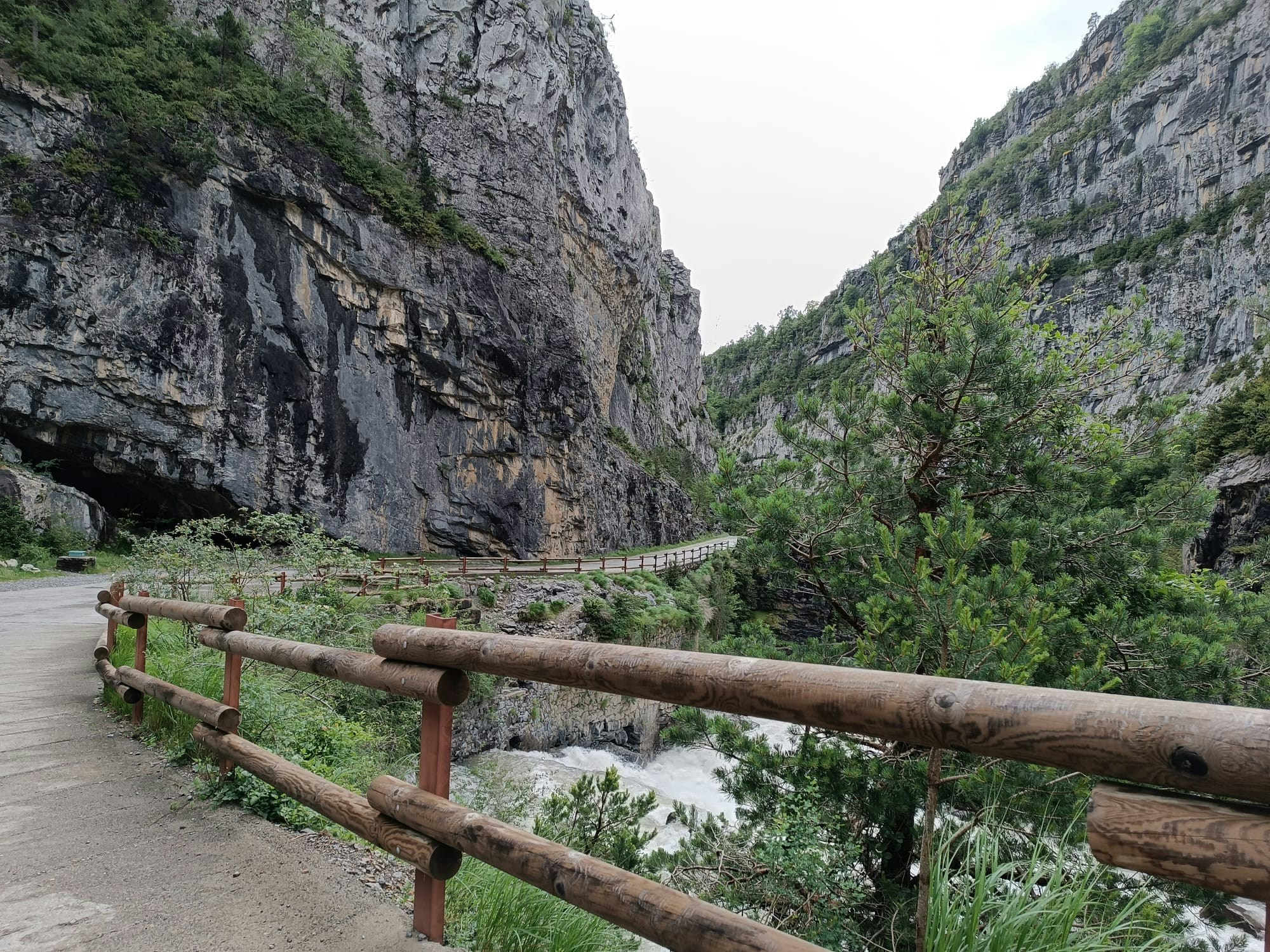 Go to Jhon Castro's profile