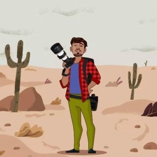 Accéder au profil de Shaida Safi