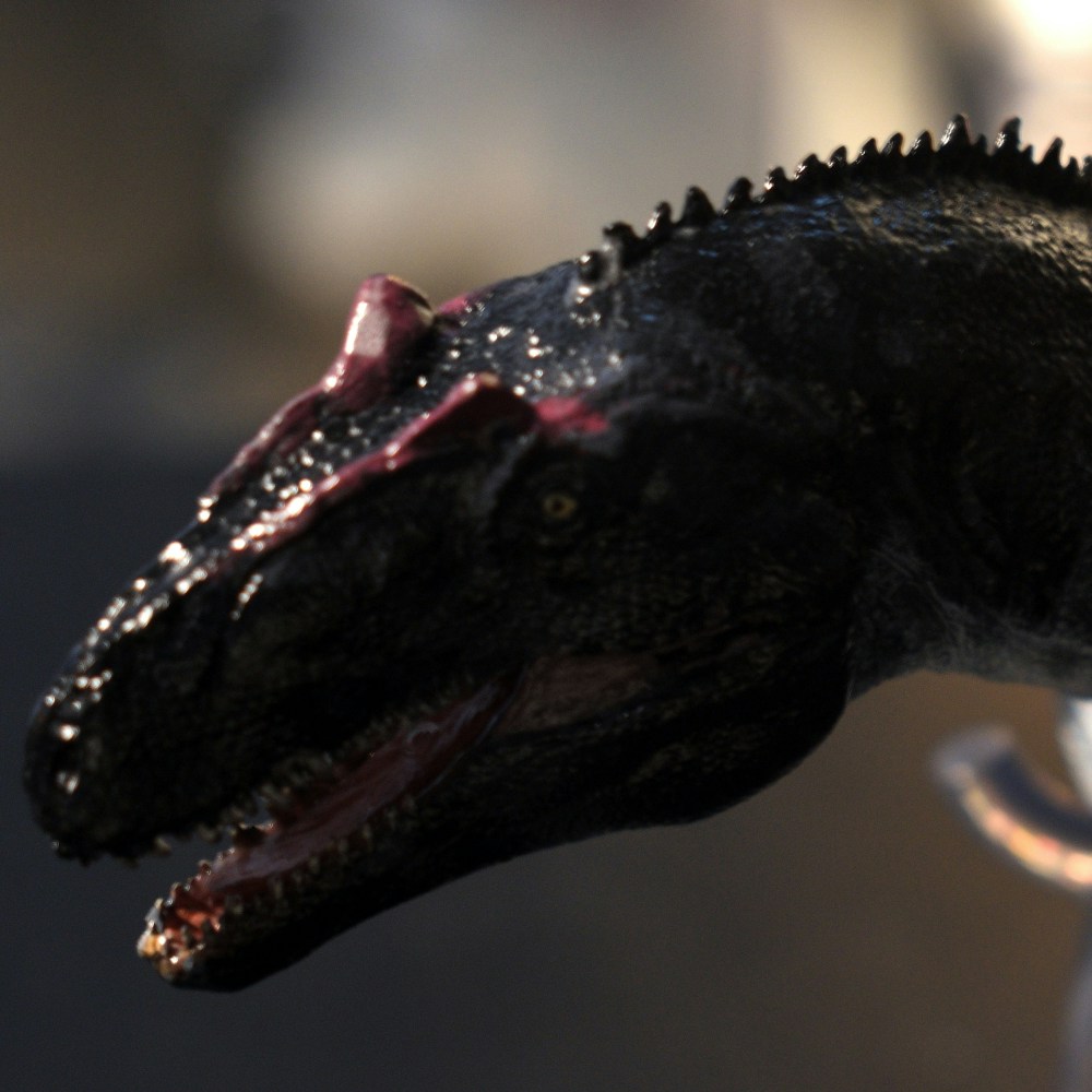 Go to Leah Storme's profile