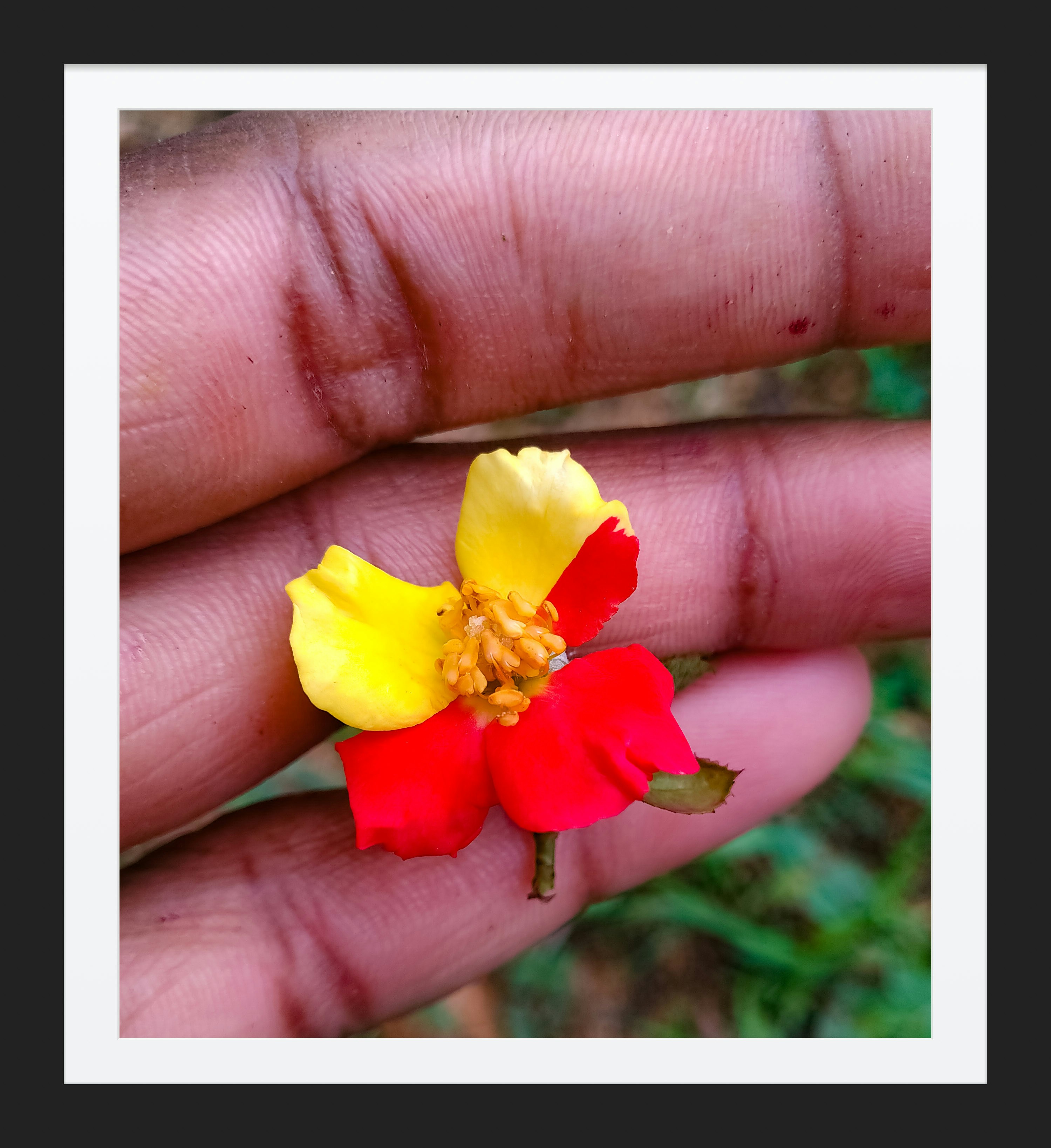 Go to Kaveriyappan R's profile