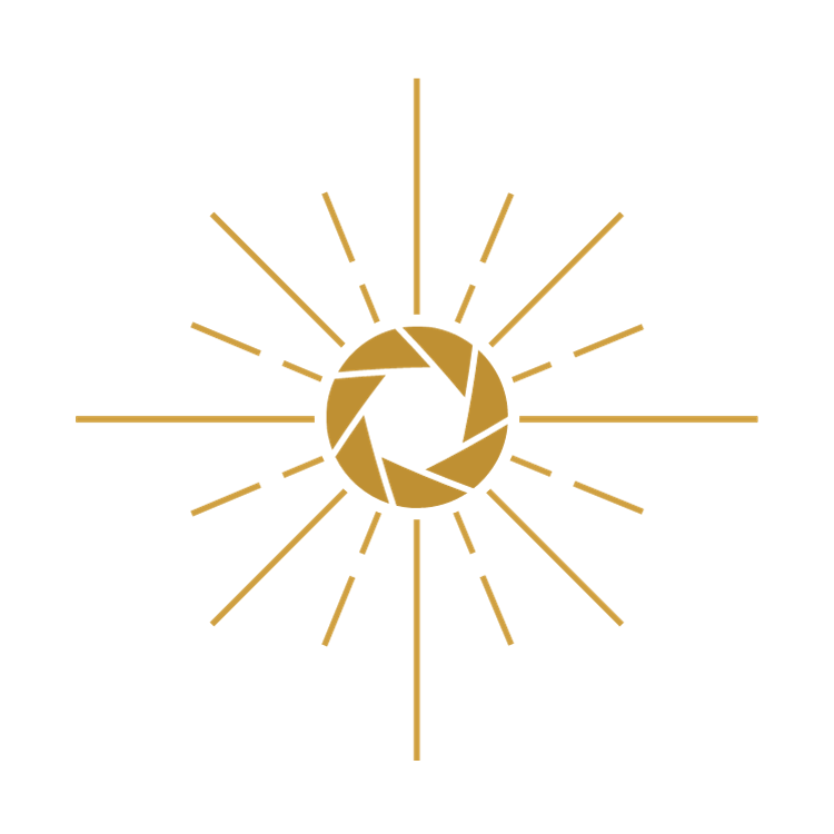 Go to Sol Ponce's profile