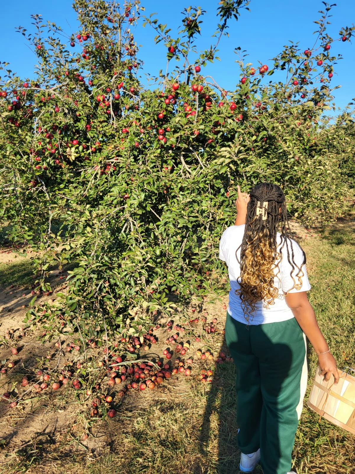 Destiny Zebichのプロフィールを見る