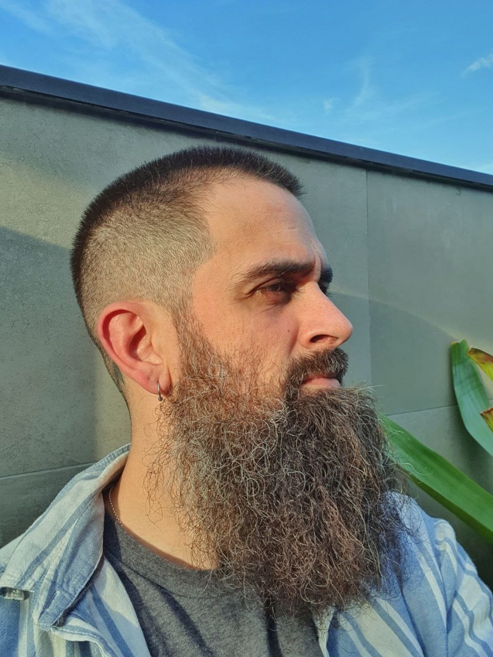 Go to Samuel Gamboa dos Reis's profile