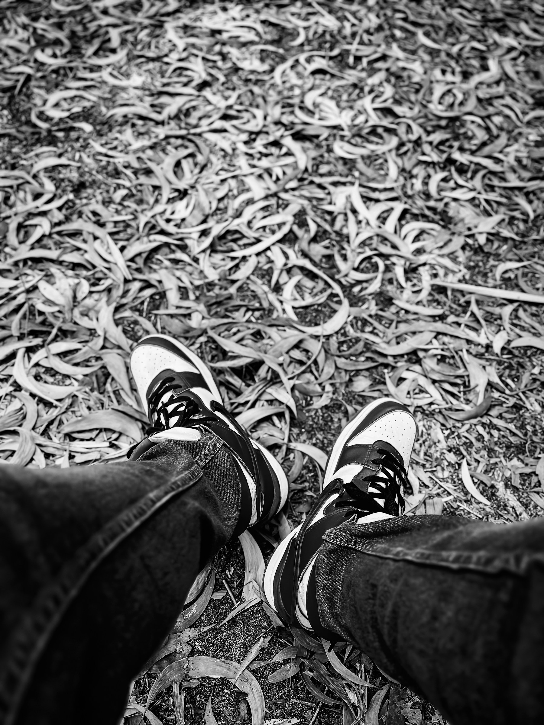 Go to rael frames's profile