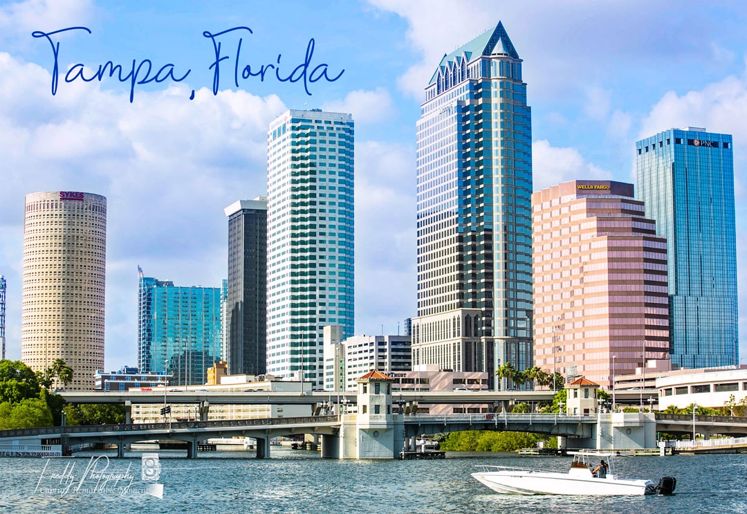 Accéder au profil de Freddy Jim