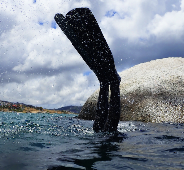 Go to Ben Wiid's profile