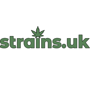 Unsplash profile picture for @strains