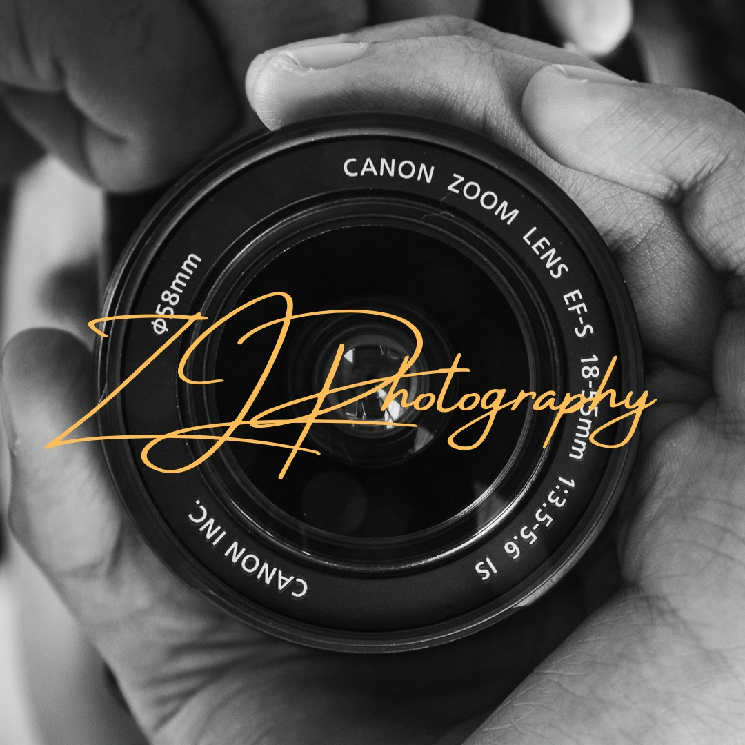 Go to Zach Jenkins's profile