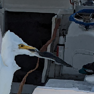 Go to Andrew Wang's profile