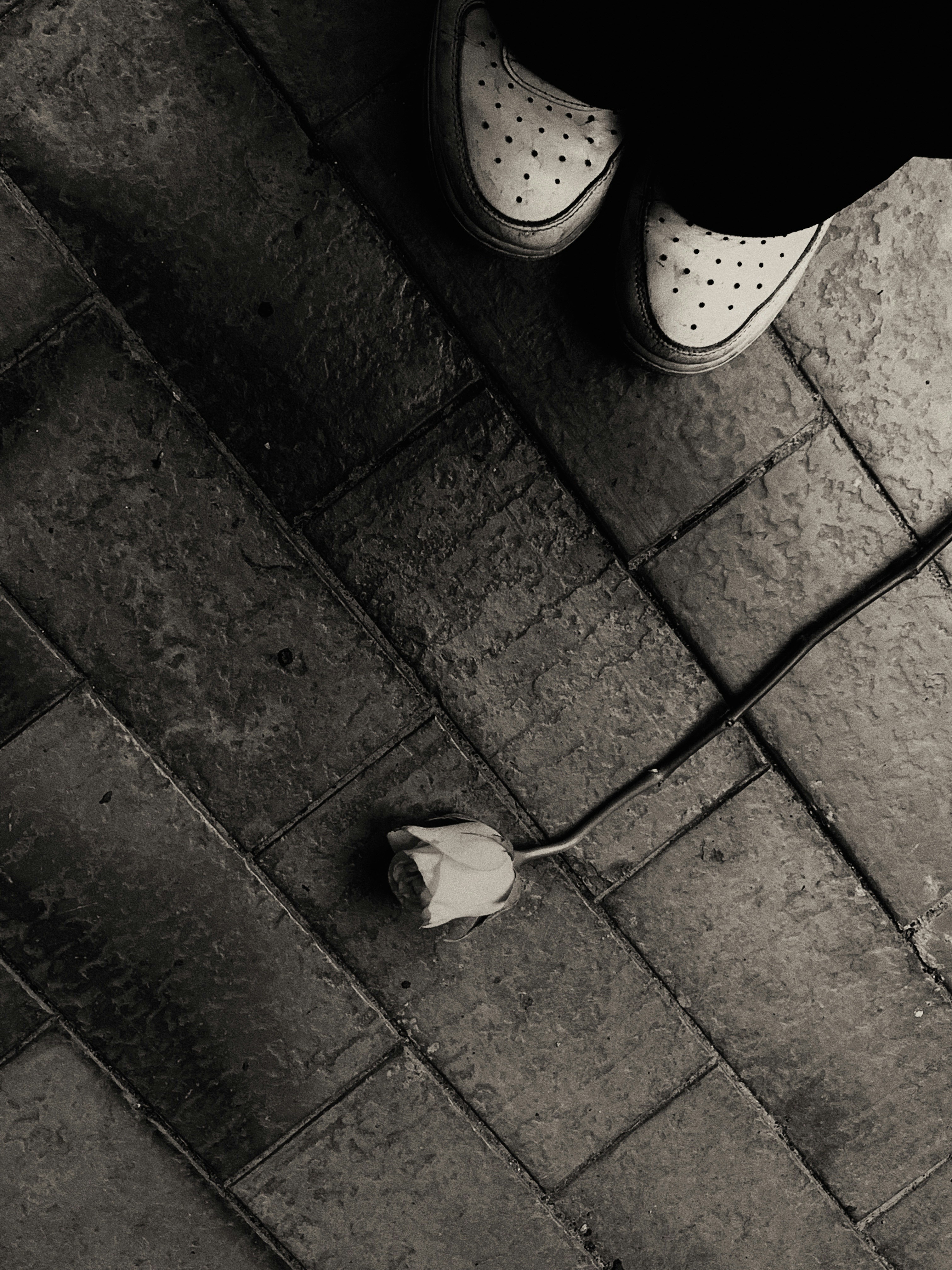 Ir para o perfil de natalia menin