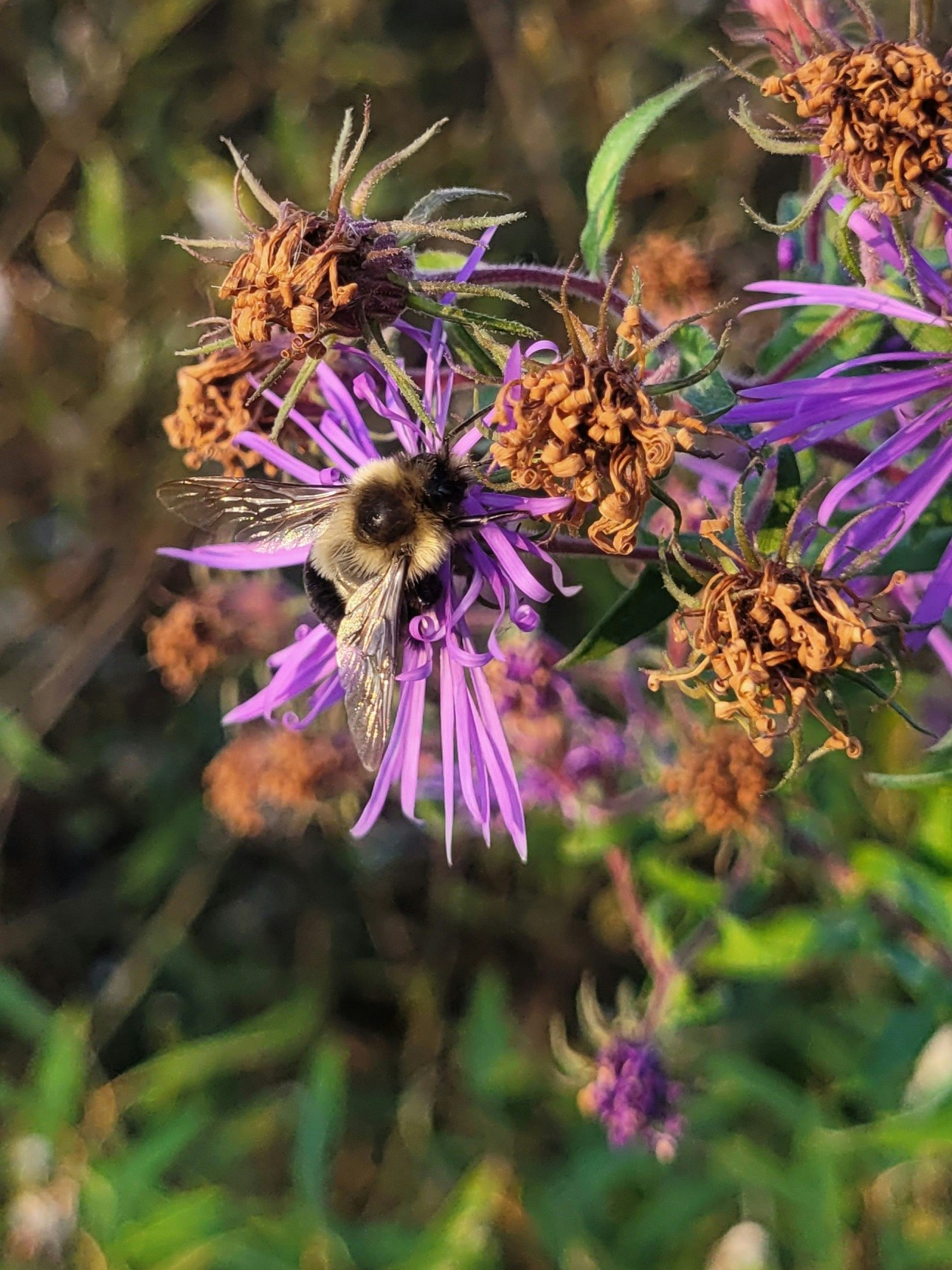 Zum Profil von Court