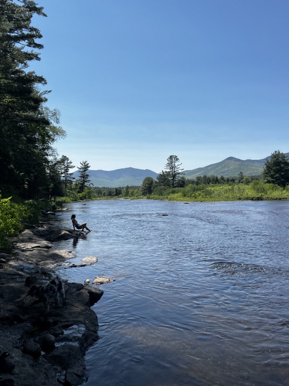 Go to Madeline Hogan's profile