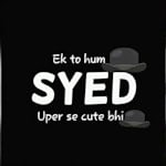 Avatar of user Syed Ali Hassan