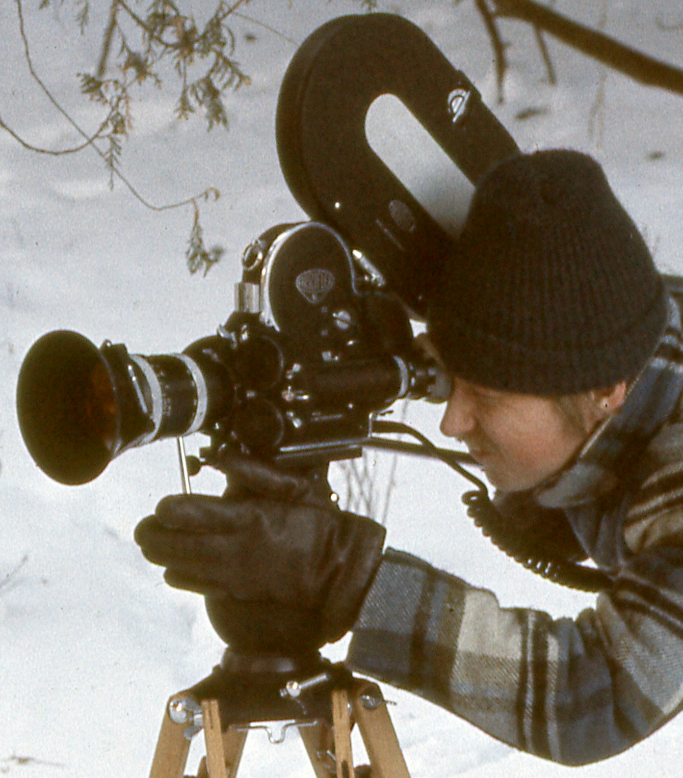 Go to Michael Hamments's profile