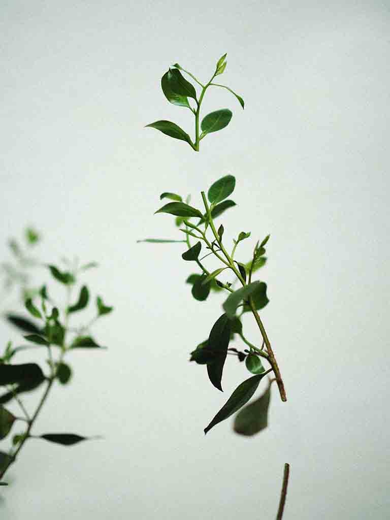 Go to Amon Zae's profile