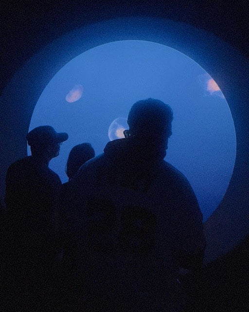 Go to Aldair Pimentel's profile