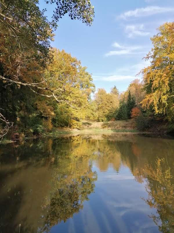 Go to zeliha turk's profile