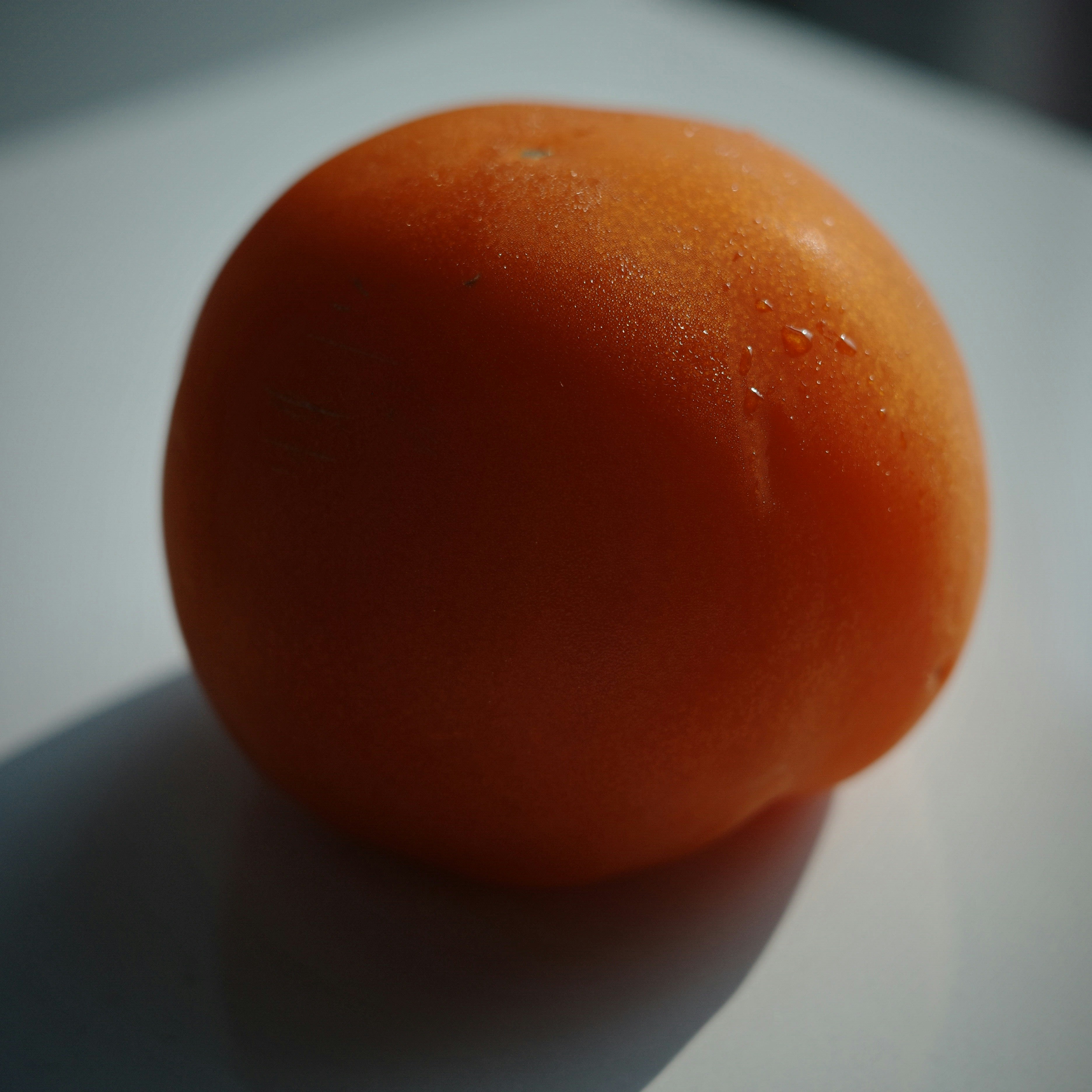 Avatar of user Rak Ankong