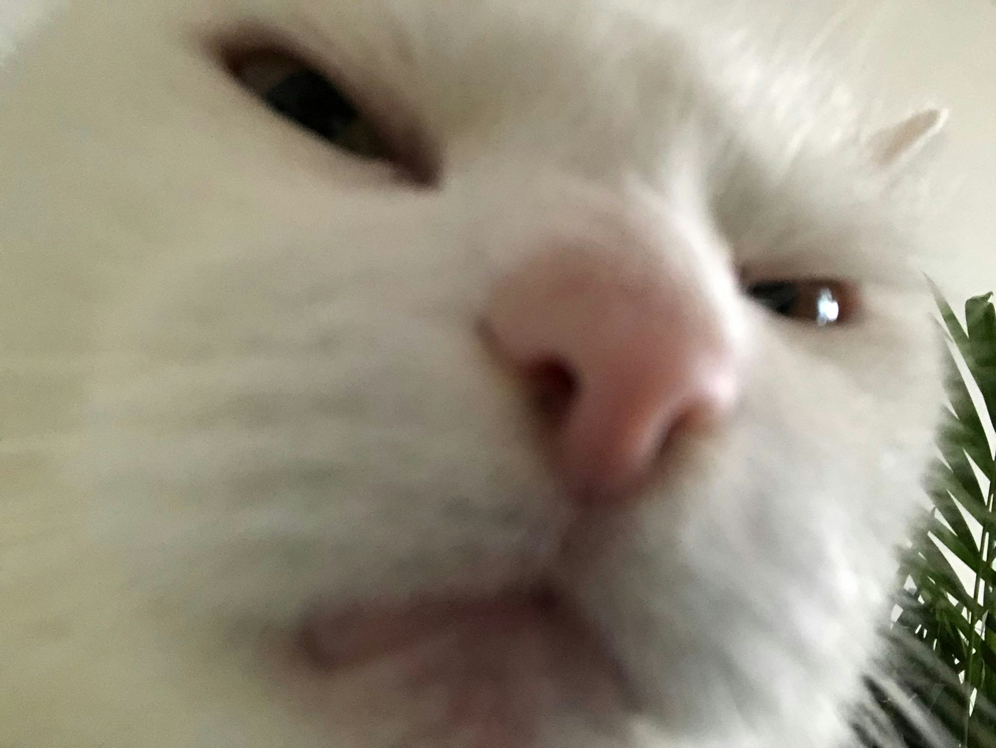 Go to Timon Jenny's profile