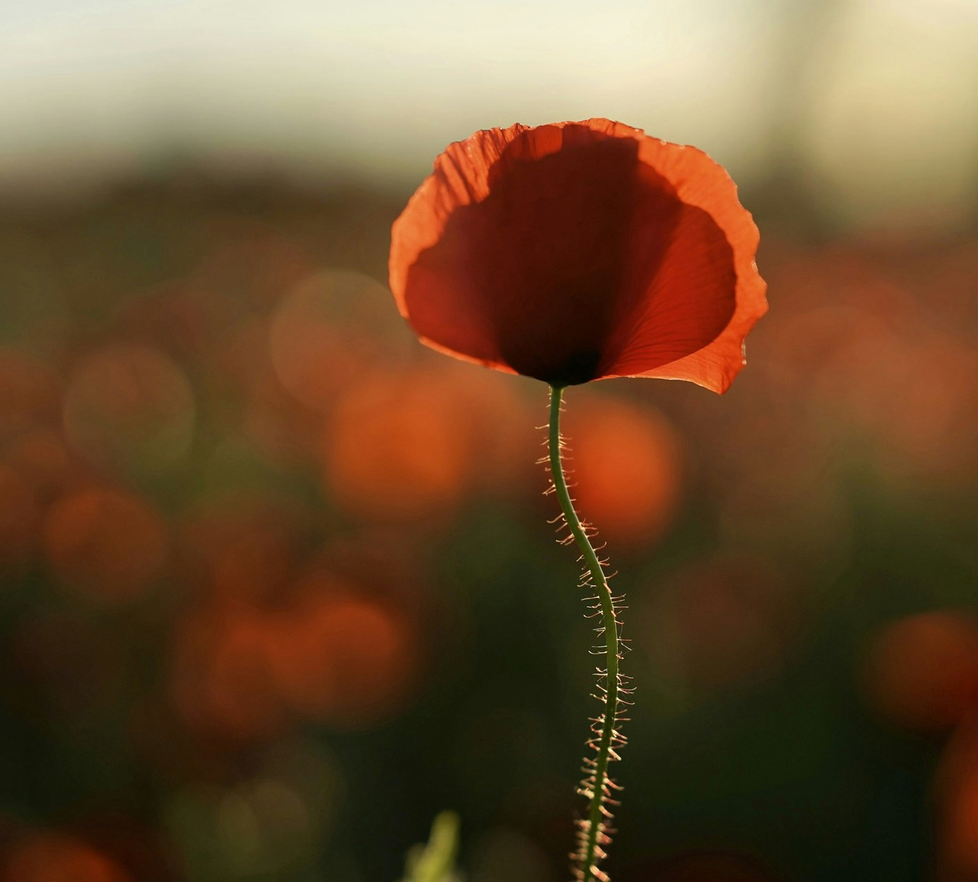 Go to Christel F.'s profile