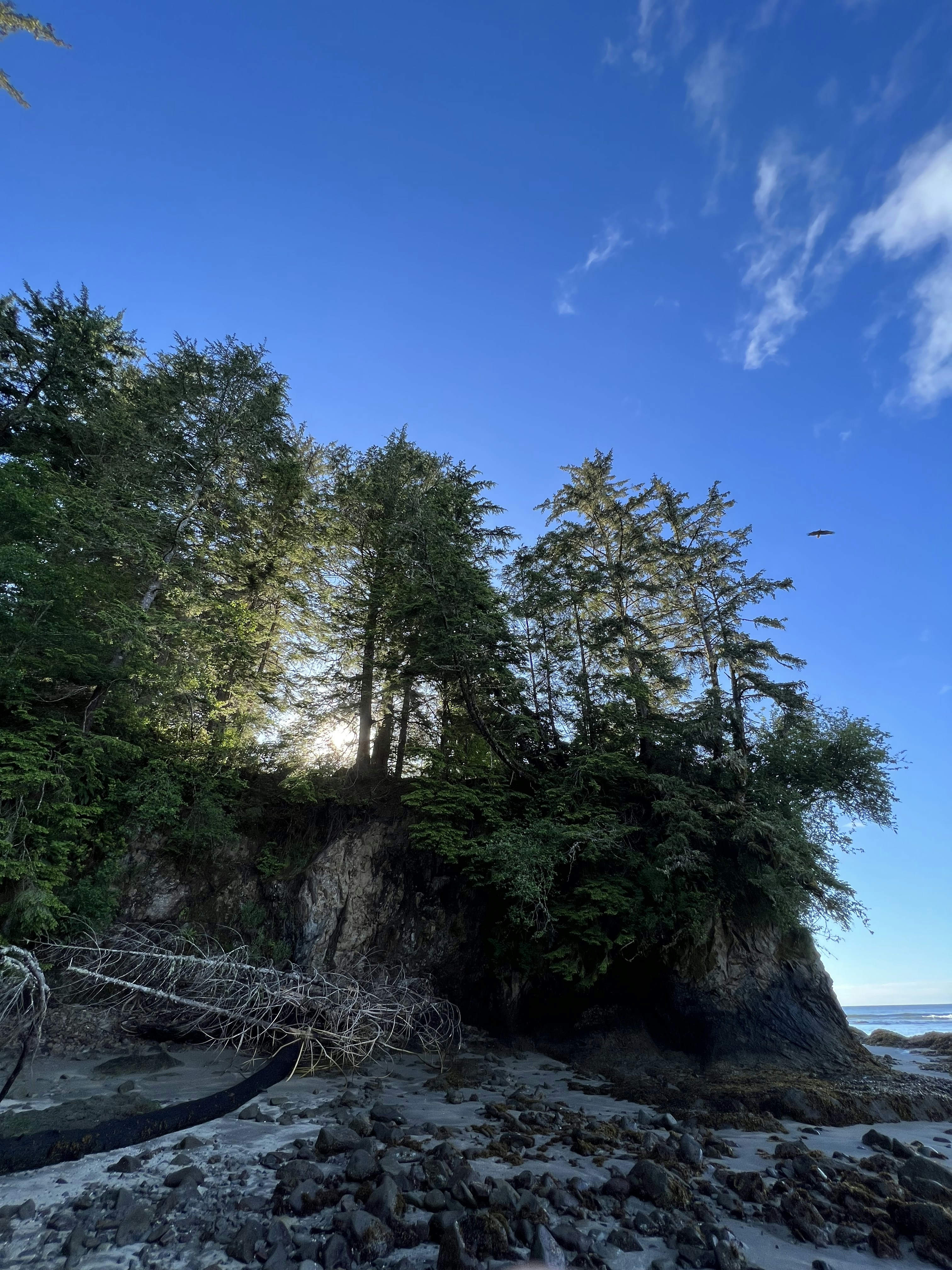 Go to Samuel Kushnerchuk's profile