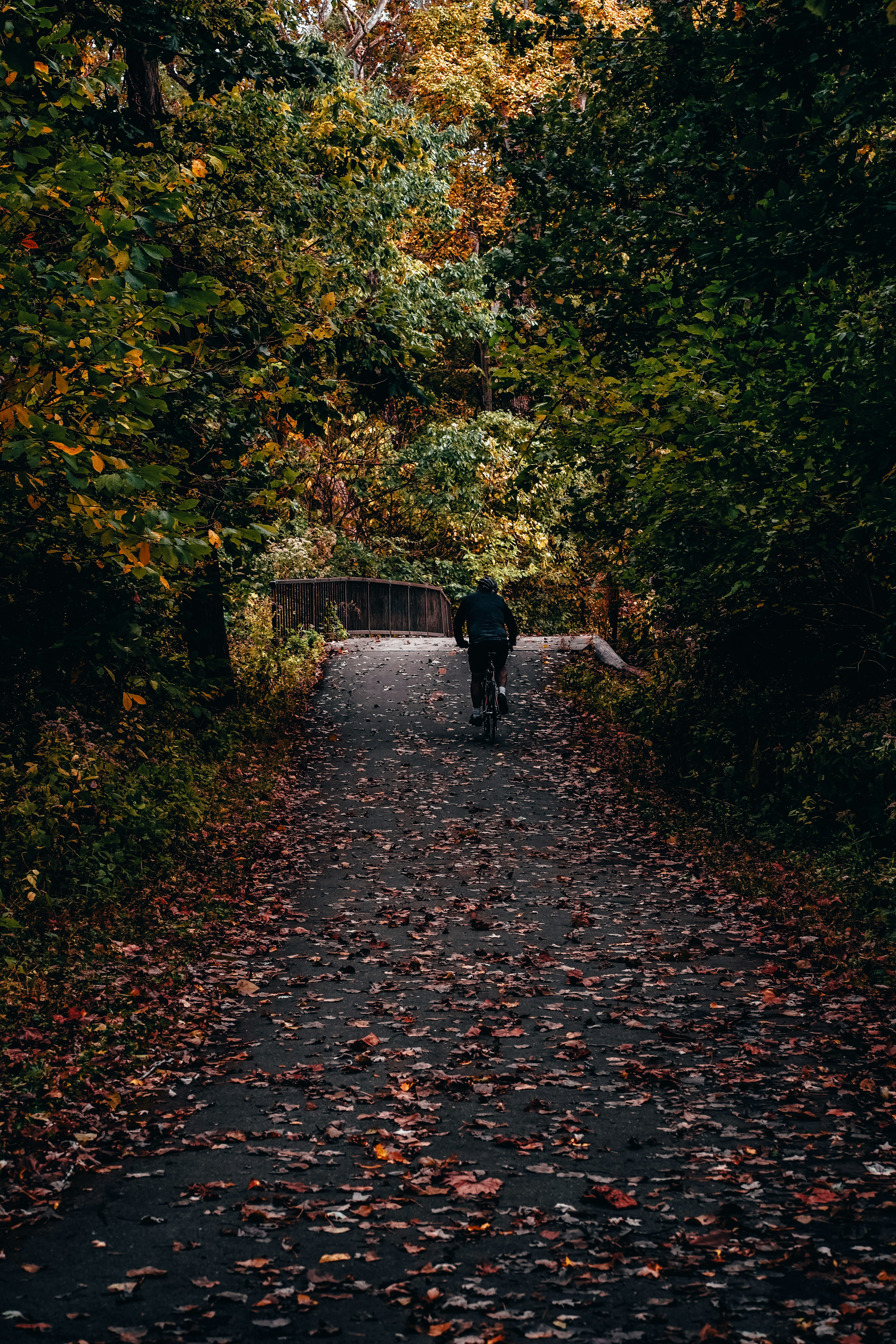 Go to Sadiq Hussein's profile