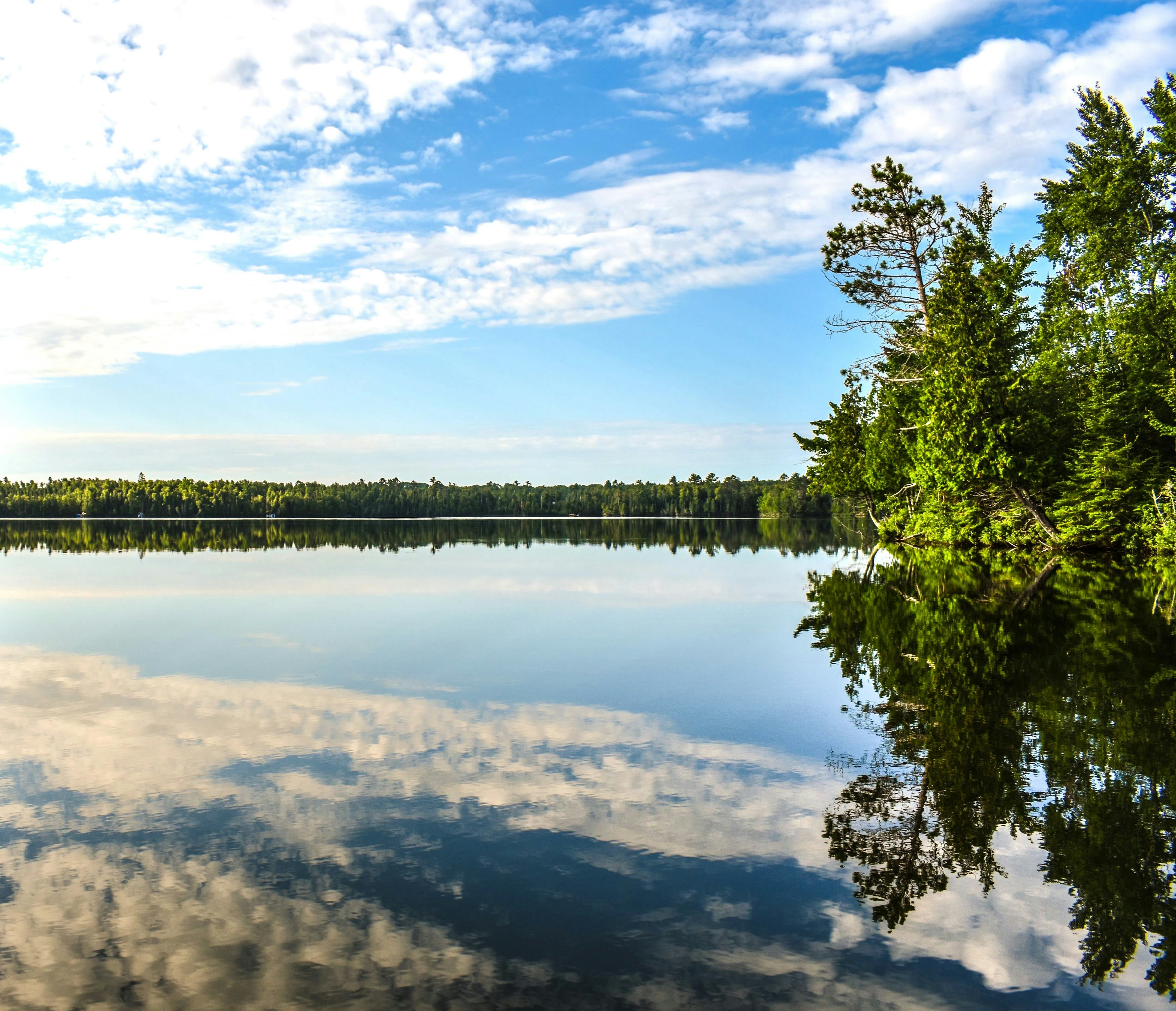 Avatar de l’utilisateur m s