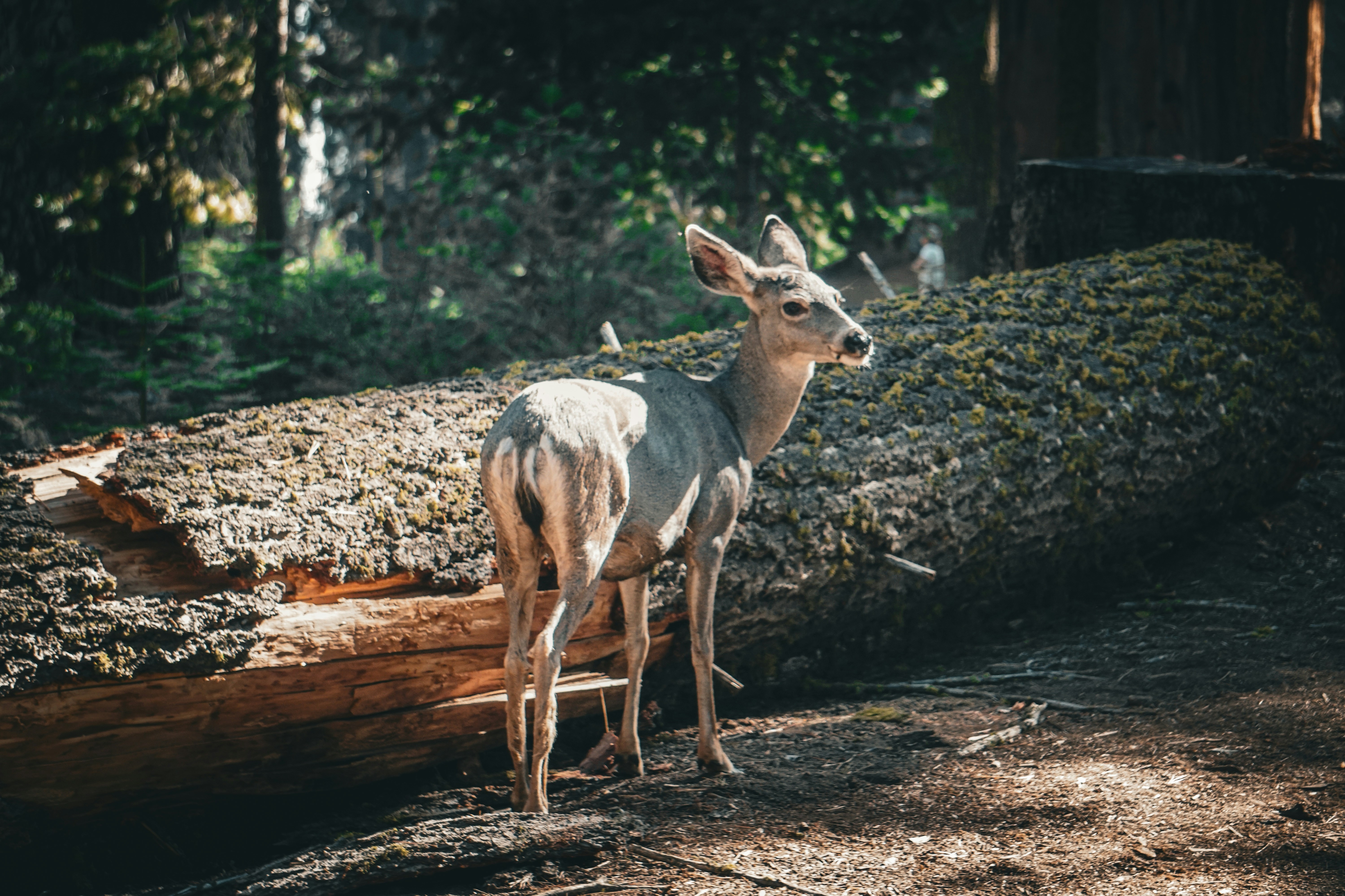 Go to Patrick Mayor's profile