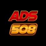 Avatar of user ADS 508