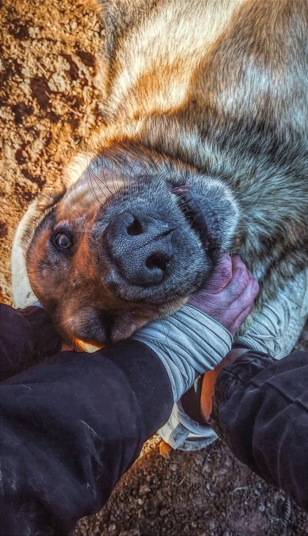 Go to amir piran's profile