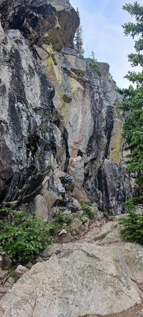 Go to Liv Post's profile