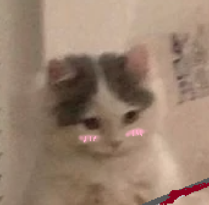 Go to Ryan Chan's profile